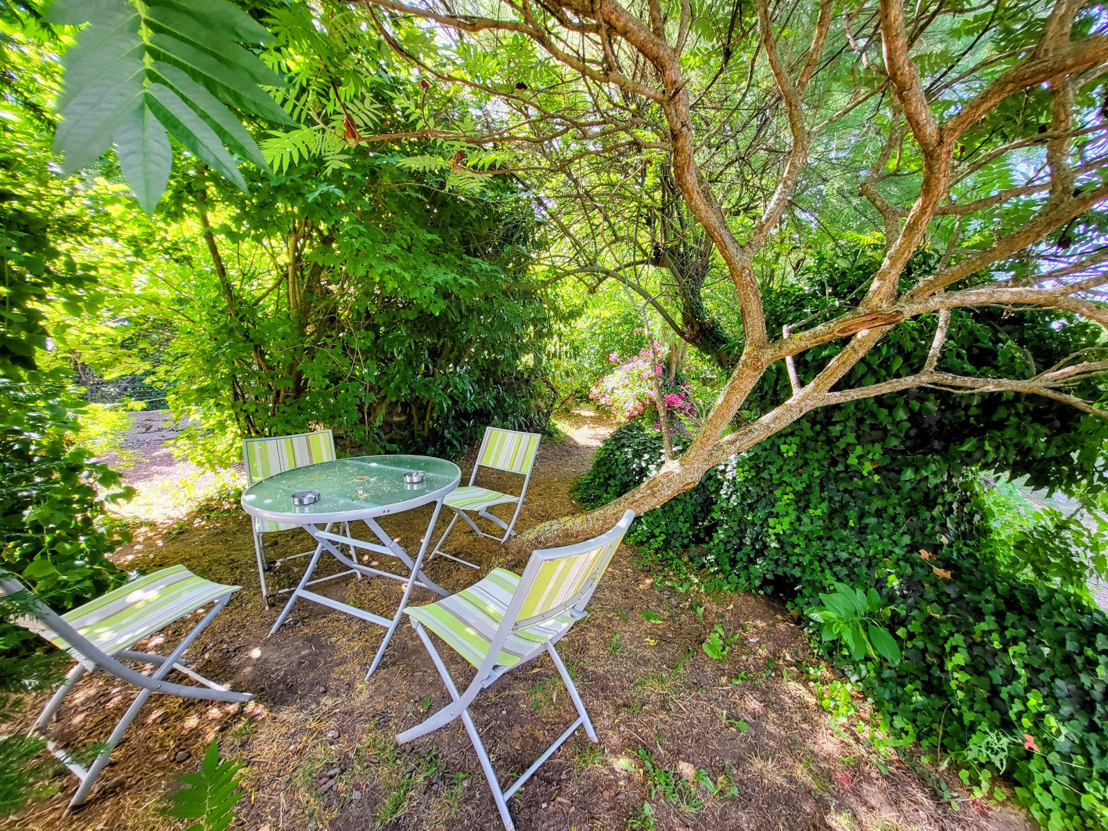 Image_5, Maison, Le Puy-en-Velay, ref :783