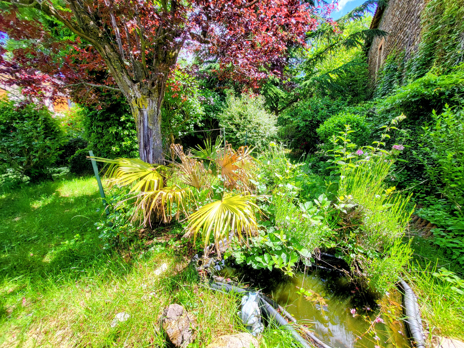 Image_3, Maison, Saint-Privat-d'Allier, ref :899
