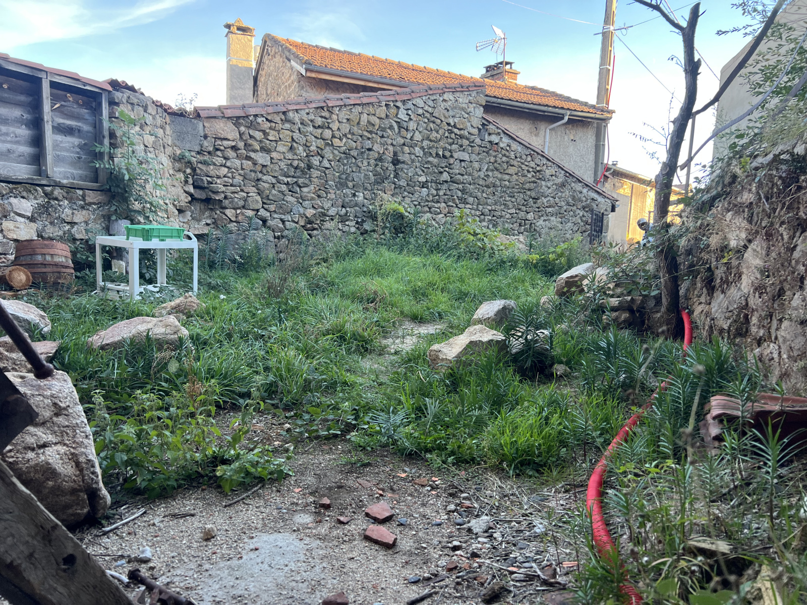 Image_3, Ferme, Bas-en-Basset, ref :969