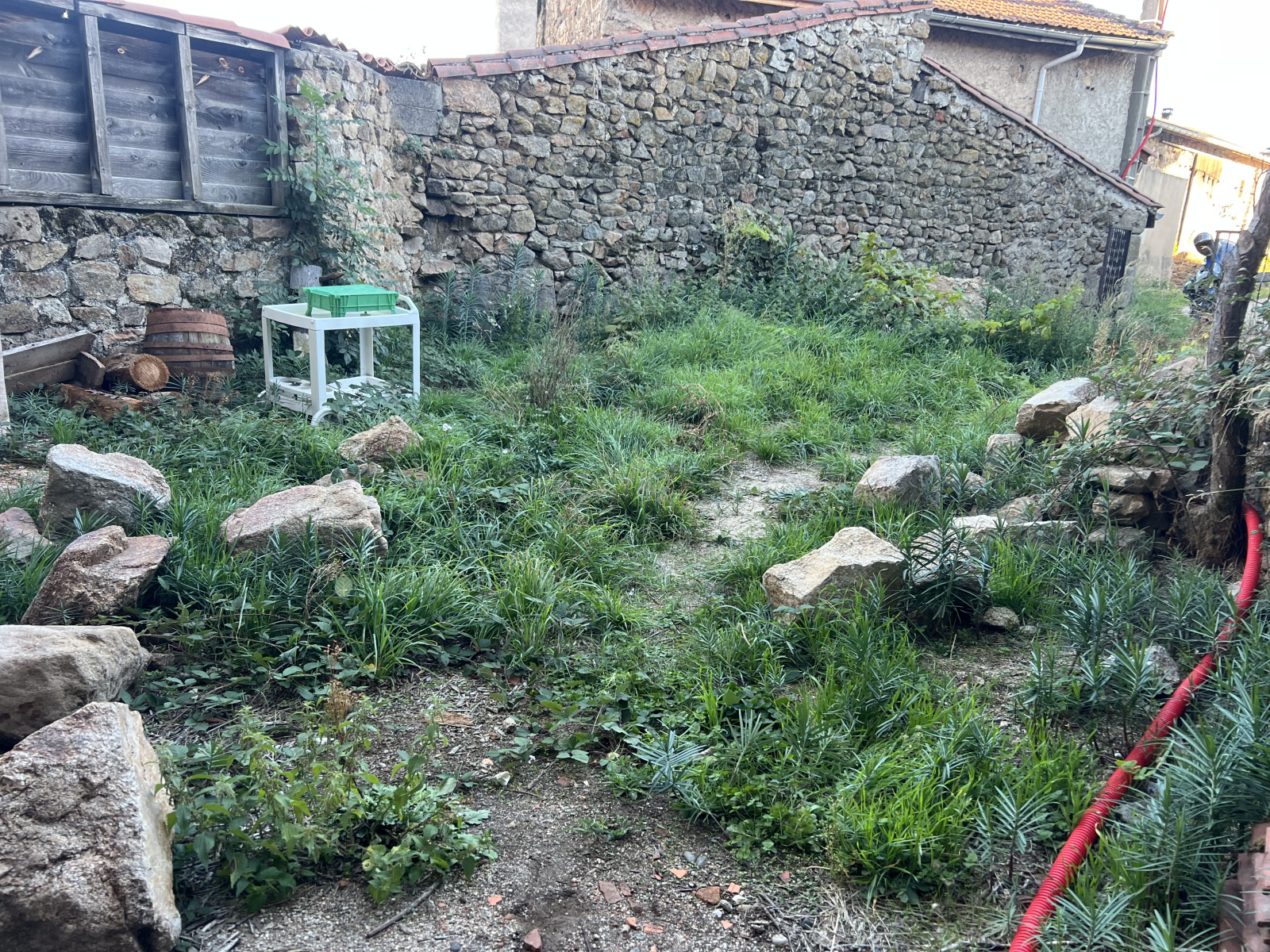 Image_2, Ferme, Bas-en-Basset, ref :969