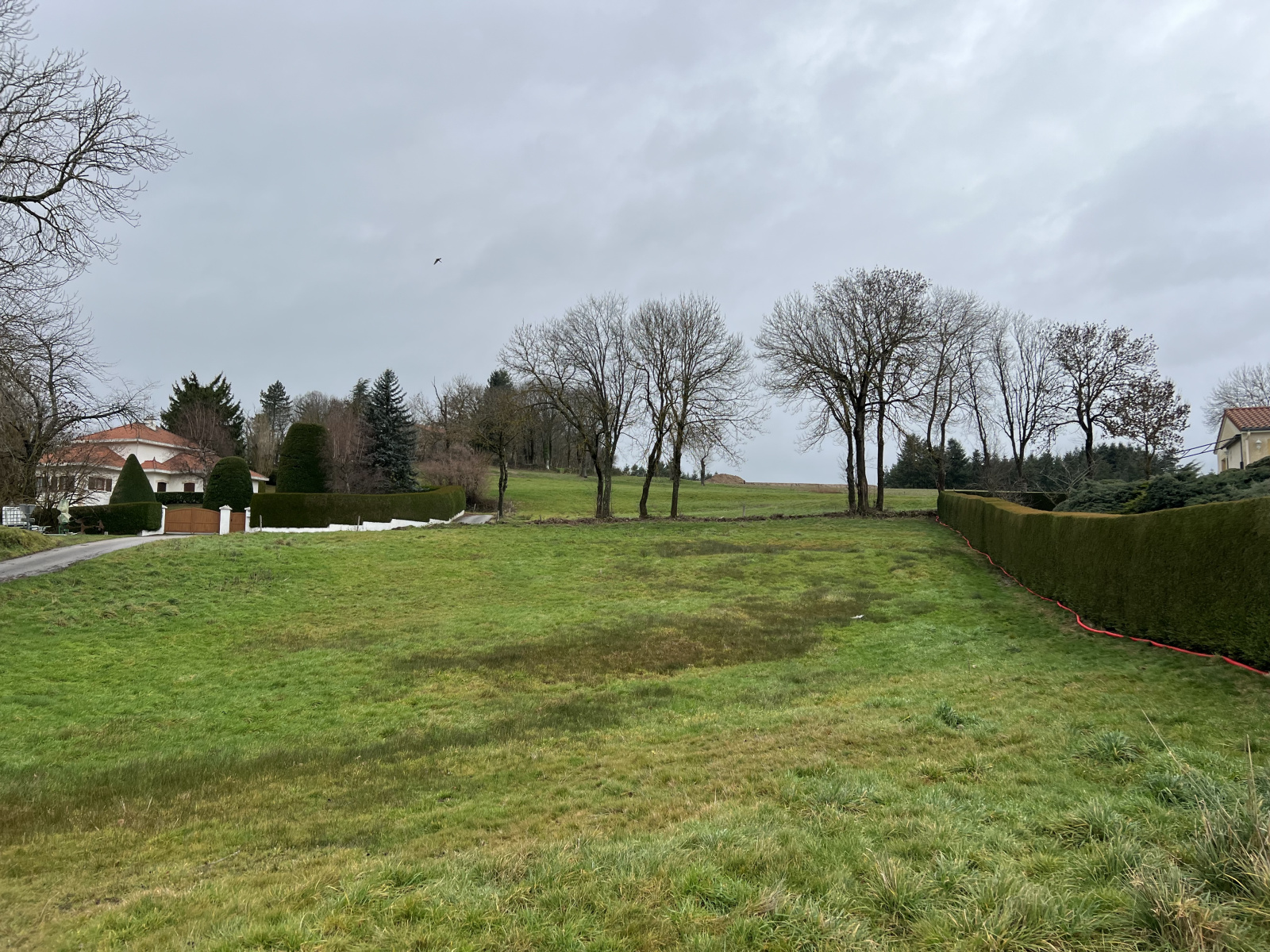 Image_1, Terrain à batir, Saint-Pal-de-Mons, ref :750